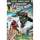 The Amazing Spider-Man - Marvel Comic Poster (Spiderman Vs. The Green Goblin) (Size: 24