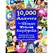 "The Best Trivia Book Ever!!!"
