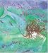 Can You Catch a Mermaid?