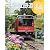 週刊 歴史でめぐる鉄道全路線 2011年 5/15号 [雑誌]