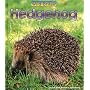 Wild Britain: Hedgehog (Wild Britain)