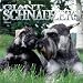 Giant Schnauzers 2002 Wall Calendar