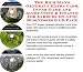 The Rich Man's Generate Extra Cash, Inner Game and Accounting & Finance for Earbuds On-line Businesses 3 CD Pack Image