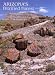 Arizona's Petrified Forest (Plateau Magazine, Vol 61/4)