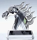 CRYSTAL HORSE HEAD