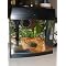 best betta list
