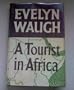 A Tourist in Africa