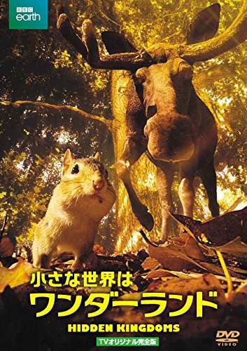 小さな世界はワンダーランド TVオリジナル完全版(2枚組) 