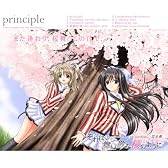 principle