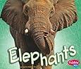 Elephants (African Animals)