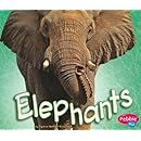 Elephants (African Animals)