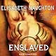Enslaved: Eternal Guardians, Book 5