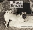 Pug Shots 2010 Wall Calendar Pug Shots 2010 Wall Calendar