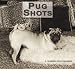 Pug Shots 2010 Wall Calendar