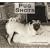 Pug Shots 2010 Wall Calendar