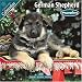 German Shepherd Puppies 2010 Wall Calendar #10205-10