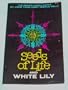 Seeds of Life
