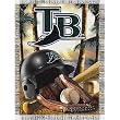 Tampa Bay Devil Rays MLB Woven Tapestry Throw (Home Field Advantage) (48x60")"