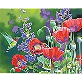 Dimensions Crafts Paintworks Paint by Number Kit, Hummingbird and Poppies