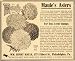1907 Ad William Henry Maule Seed Book Asters Flowers - Original Print Ad