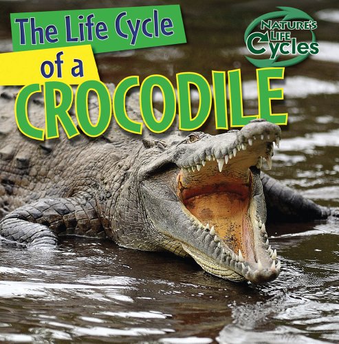The Life Cycle of a Crocodile (Nature's Life Cycles)