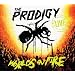 World�S On Fire (DVD+CD)