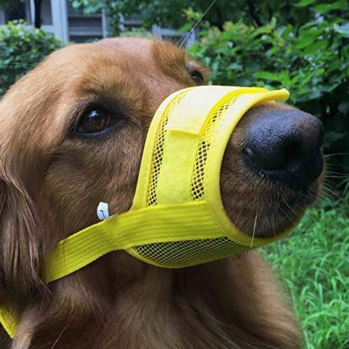 Daisy1993 Adjustable Nylon Mesh Pet Dog Mouth Muzzle Grooming Anti Stop Chewing Bark Bite (L, Yellow)