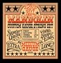 Ernie Ball 2320 Medium Mandolin Strings