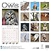 Owls Calendar - 2016 Wall calendars - Animal Calendar - Monthly Wall Calendar by Avonside
