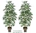 TWO 7' Artificial Bamboo Palm Trees, with No Pot,