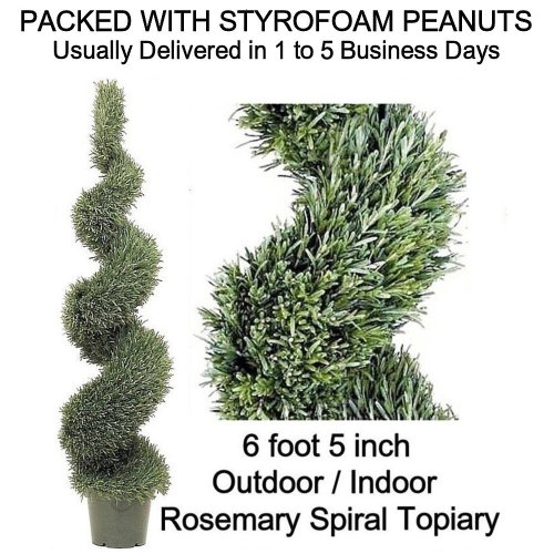 Artificial Outdoor Indoor Potted 6 foot 5 inch Designer Rosemary Spiral