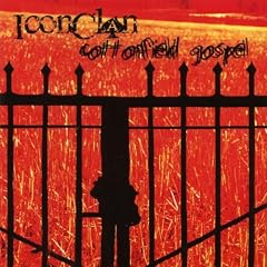 Cottonfield Gospel