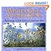 Winter Grief Summer Grace (Willowgreen Series)