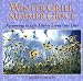 Winter Grief Summer Grace (Willowgreen Series)