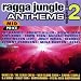 Ragga Jungle Anthems Vol.2