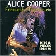 Freedom for Frankenstein: Hits & Pieces 1984-1991