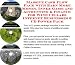 Book Massive Cash Flow Pack with Earn More Money, Inner Game and Accounting & Finance for Wine Cellars Internet Businesses 3 CD Power Pack