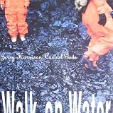 Walk on water (1990) [VINYL]
