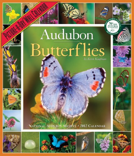 audubon butterflies calendar 2012 picture a day wall calendars
