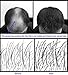 Samson Hair Fibers