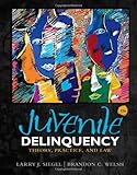 Juvenile justice sourcebook