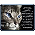 Katze Bedeutung des ZEN - Blech-Schild Blechschild mit Spruch, 4 Saugn�pfe - Gr�sse 17x22 cm