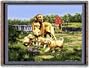 Golden Retriever Family Throw - 53 x 70 Blanket/Throw