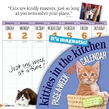 Kitties in the Kitchen 2012 Calendar (Wall Calendar)