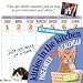 Kitties in the Kitchen 2012 Calendar (Wall Calendar)