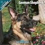 German Shepherd 2010 Wall Calendar #10039-10