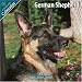 German Shepherd 2010 Wall Calendar #10039-10