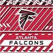 Atlanta Falcons NFL Book Cover
