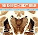 The Rhesus Monkey Brain in Stereotaxic Coordinates The Rhesus Monkey Brain in Stereotaxic Coordinates