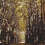 Bo Derek Gossip, Pictures, Vide...